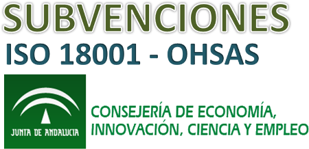 Subvenciones a Pymes y Autónomos Ohsas 18001: Andalucía Subvenciones a Pymes y Autónomos Ohsas 18001: Andalucía