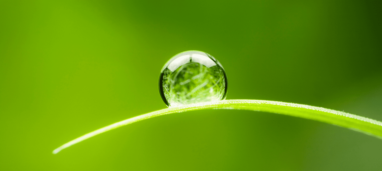 Secretos del Agua, la marca en la que confiamos