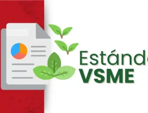 VSME: Informes de Sostenibilidad Simplificados para PYMES
